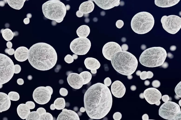 �ŵ�88(�й���)�ٷ���վ