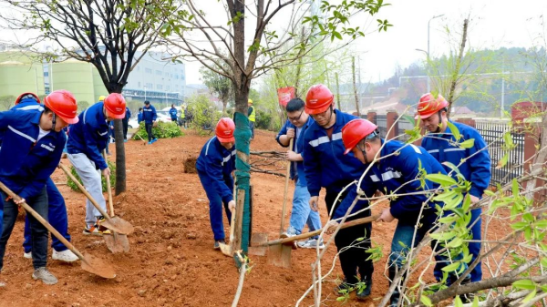 �ŵ�88(�й���)�ٷ���վ