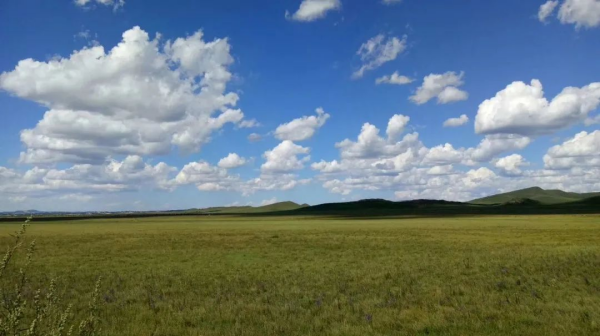 �ŵ�88(�й���)�ٷ���վ