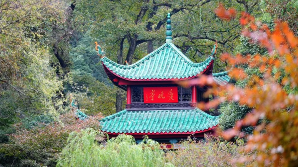 �ŵ�88(�й���)�ٷ���վ