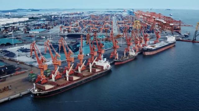 �ŵ�88(�й���)�ٷ���վ