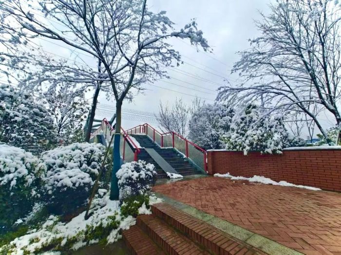 �ŵ�88(�й���)�ٷ���վ