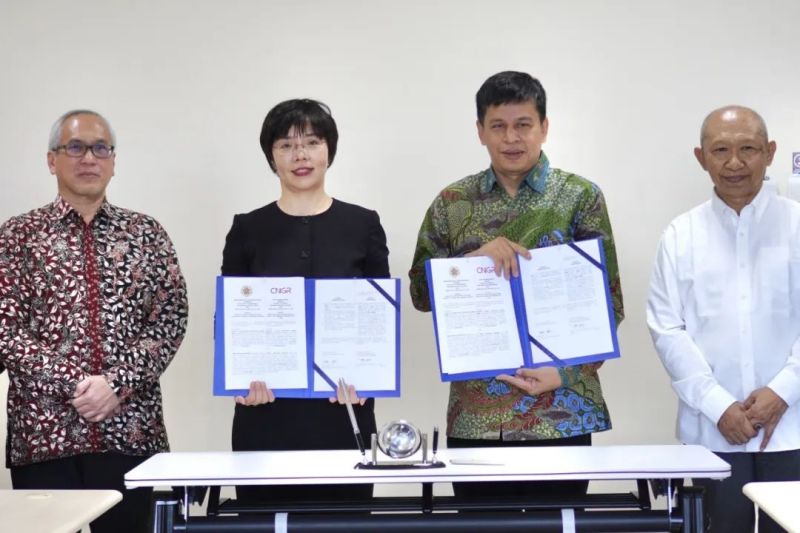 �ŵ�88(�й���)�ٷ���վ