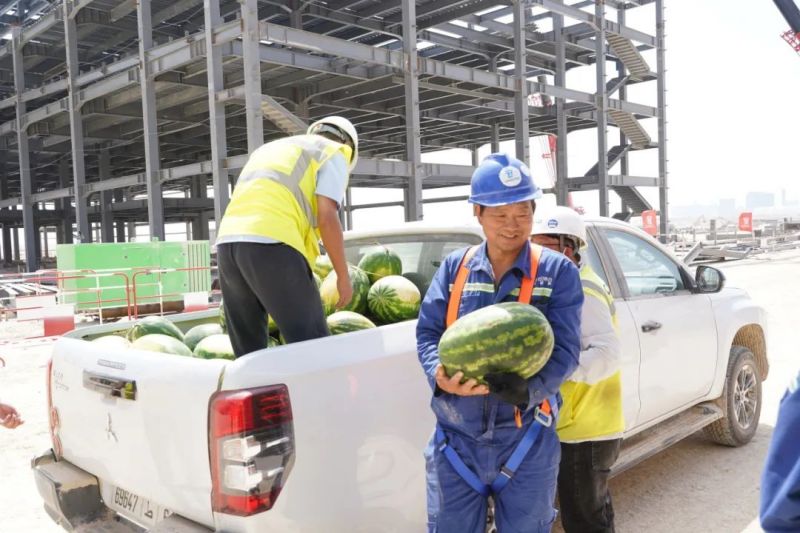 �ŵ�88(�й���)�ٷ���վ