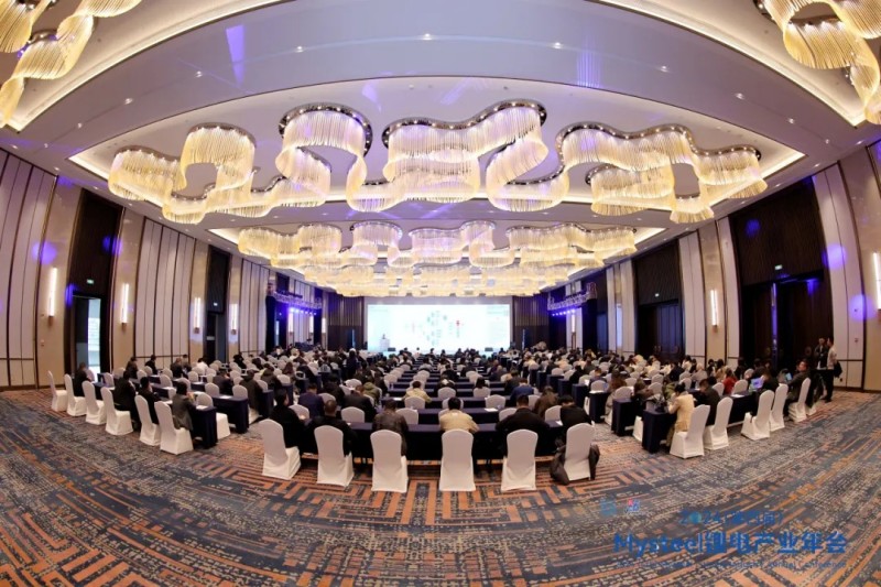 �ŵ�88(�й���)�ٷ���վ