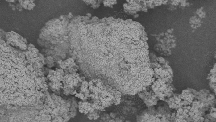 �ŵ�88(�й���)�ٷ���վ