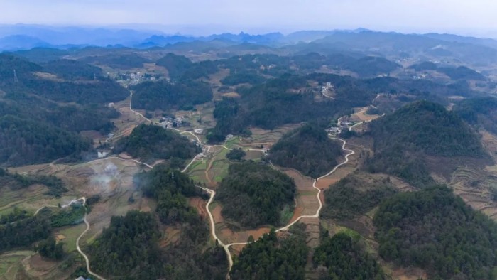 �ŵ�88(�й���)�ٷ���վ