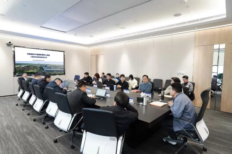 �������Ǹ���|�ŵ�88������վ�ɷ�SAP������ﵼ����Ŀ�׶���Ч���㱨��˳���ٿ�