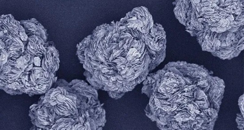 �ŵ�88(�й���)�ٷ���վ